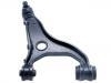 控制臂 Control Arm:20252-SC010