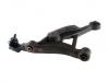 Brazo de suspensión Control Arm:4616922