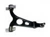 Bras de liaison Control Arm:606 524 66